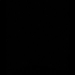 Meet your Posher, Dillon